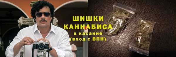 сатива Кодинск