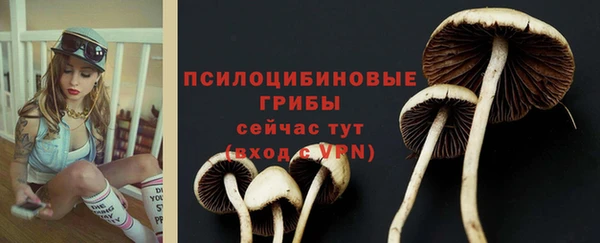 сатива Кодинск