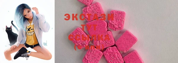 соль ск Козельск