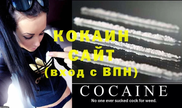 сатива Кодинск