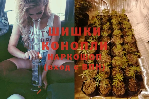 сатива Кодинск
