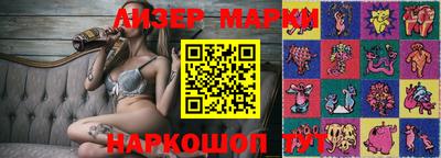 стафф Гатчина