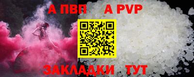 стафф Гатчина