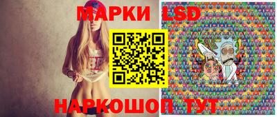 стафф Гатчина