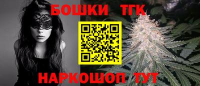 стафф Гатчина