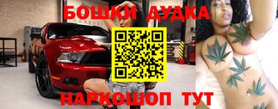 стафф Гатчина