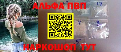 стафф Гатчина