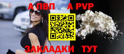 стафф Гатчина
