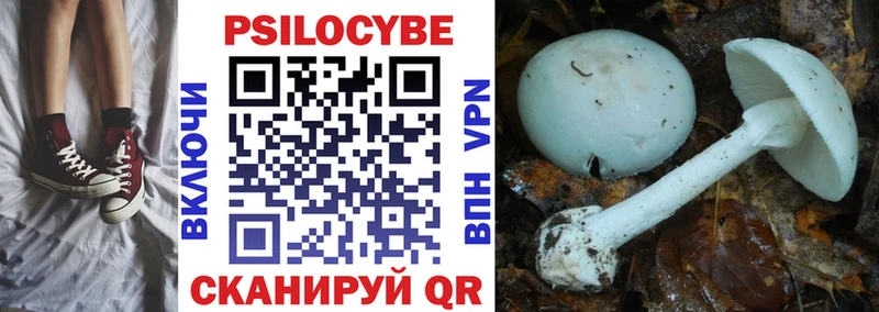 Галлюциногенные грибы GOLDEN TEACHER  Реутов 