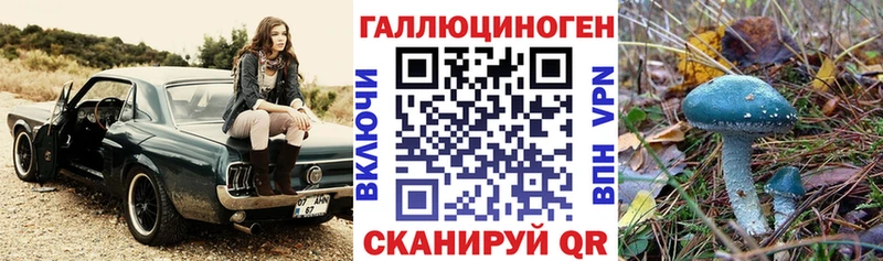 Галлюциногенные грибы MAGIC MUSHROOMS Реутов