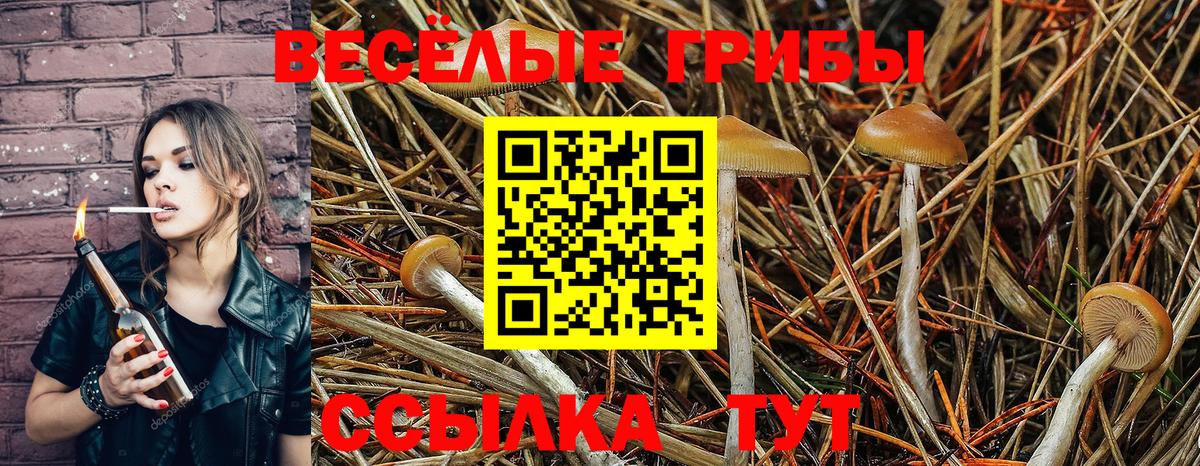 Галлюциногенные грибы прущие грибы Реутов